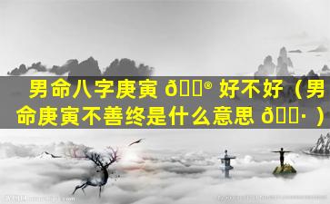 男命八字庚寅 💮 好不好（男命庚寅不善终是什么意思 🌷 ）